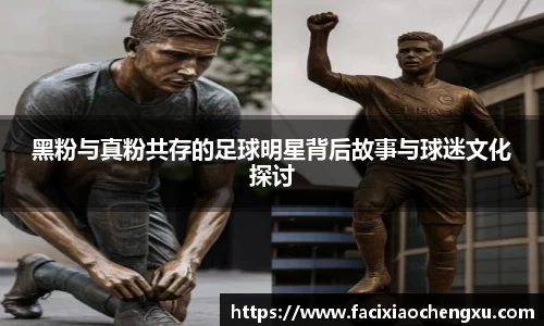 黑粉与真粉共存的足球明星背后故事与球迷文化探讨